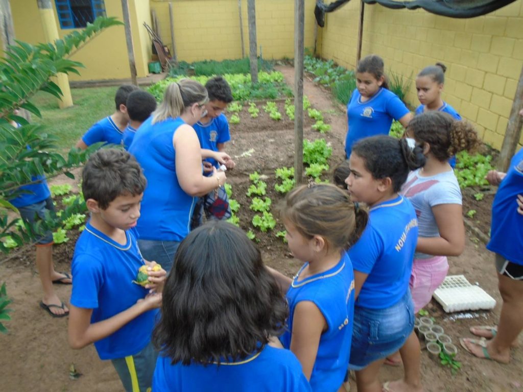 Alunos participam do Projeto Horta na Escola