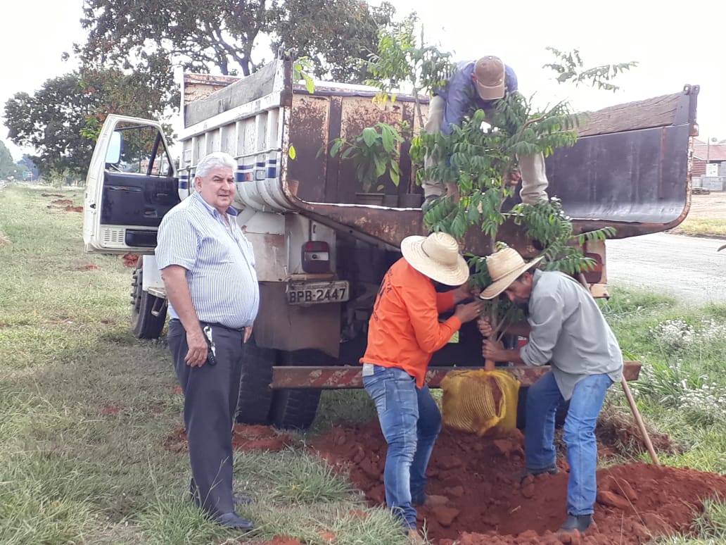 Arborização Urbana: Plantio de árvores frutíferas - Prefeitura Municipal de Nova Aliança-SP