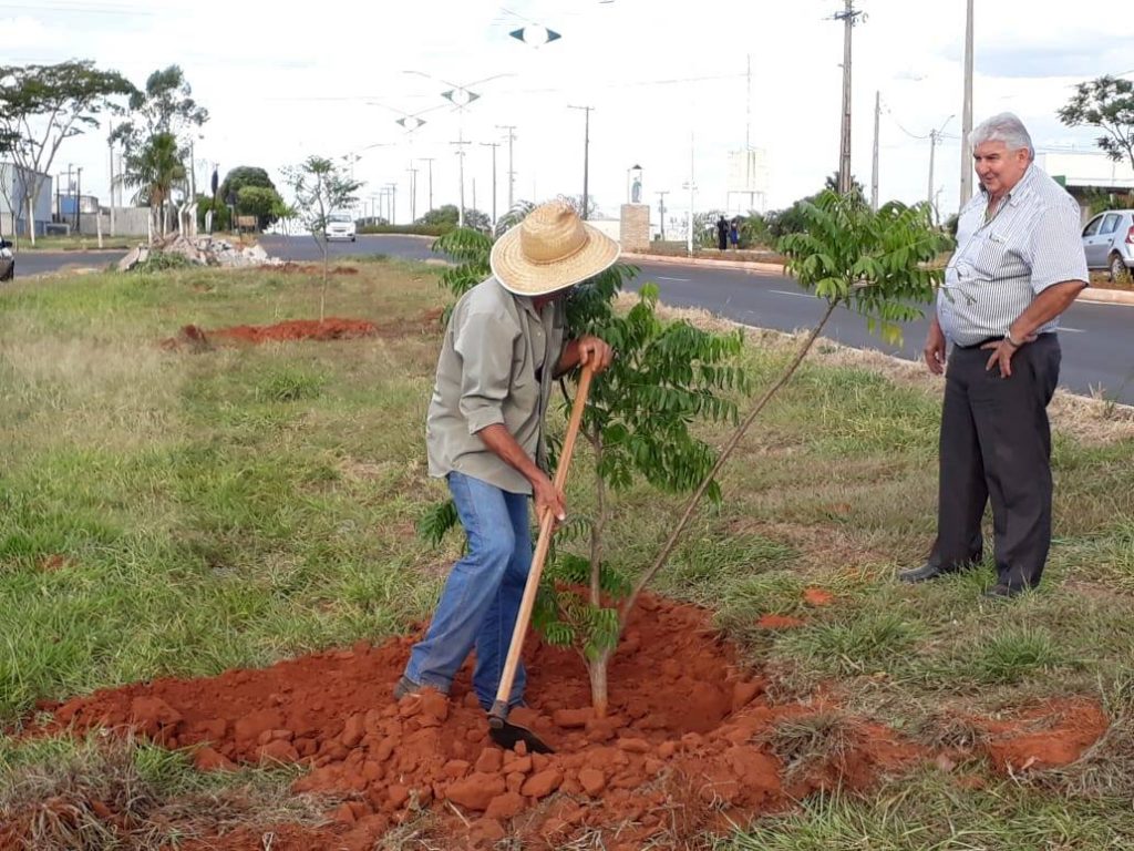 Arborização Urbana: Plantio de árvores frutíferas