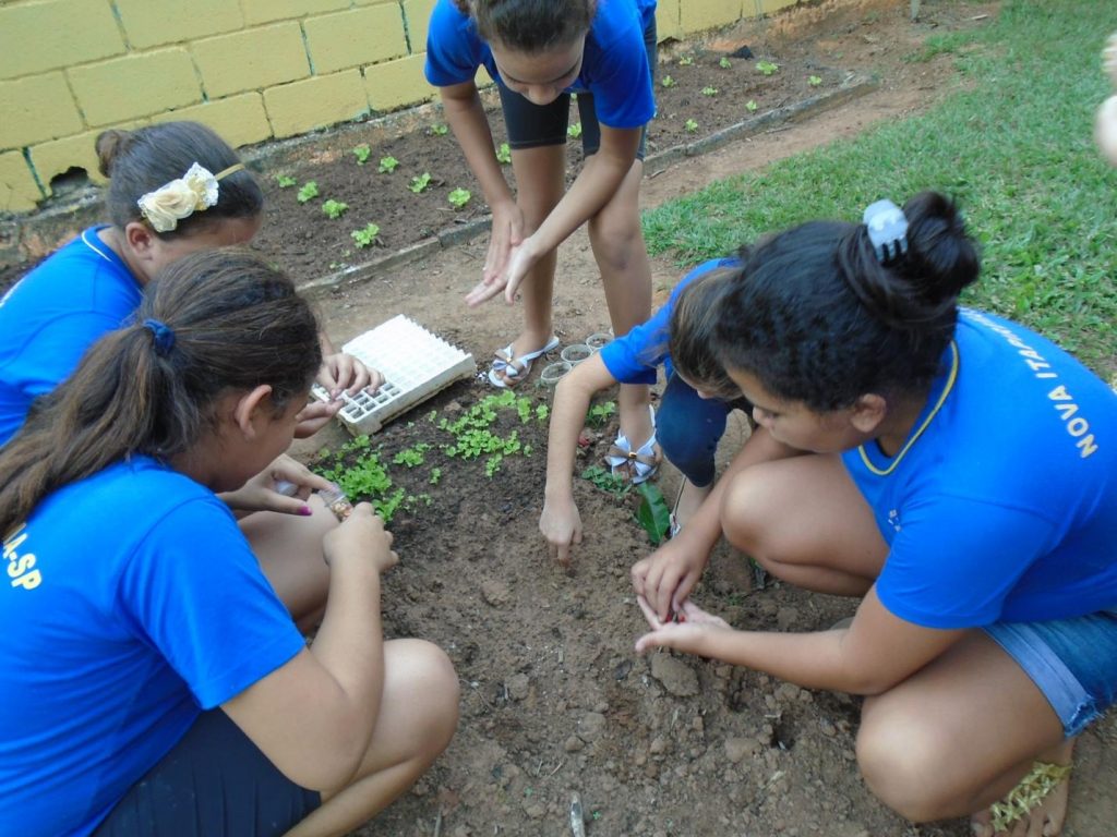 Alunos participam do Projeto Horta na Escola