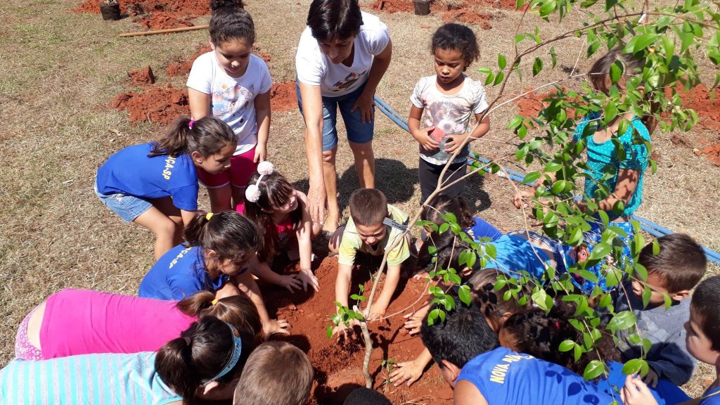 Dia da Árvore: 20 espécies de frutas são plantadas pelas crianças