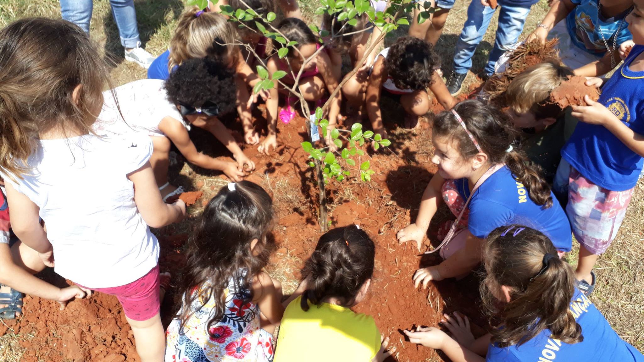 Dia da Árvore: 20 espécies de frutas são plantadas pelas crianças - Prefeitura Municipal de Nova Aliança-SP