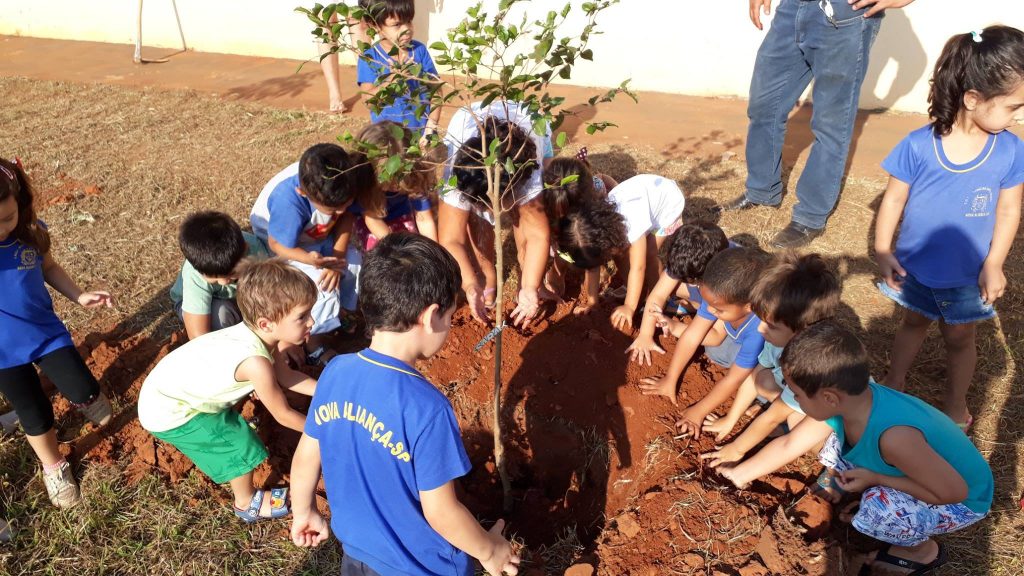 Dia da Árvore: 20 espécies de frutas são plantadas pelas crianças