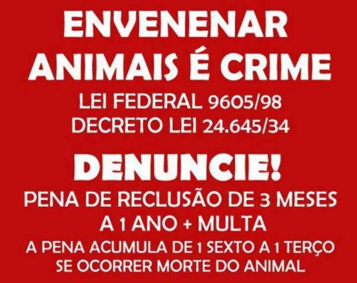 Envenenar animais é crime.Denuncie! - Prefeitura Municipal de Nova Aliança-SP