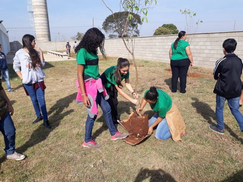 Dia Mundial do Meio Ambiente: Arborização Urbana